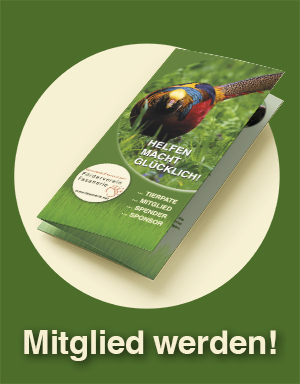 Mitgliedsbutton